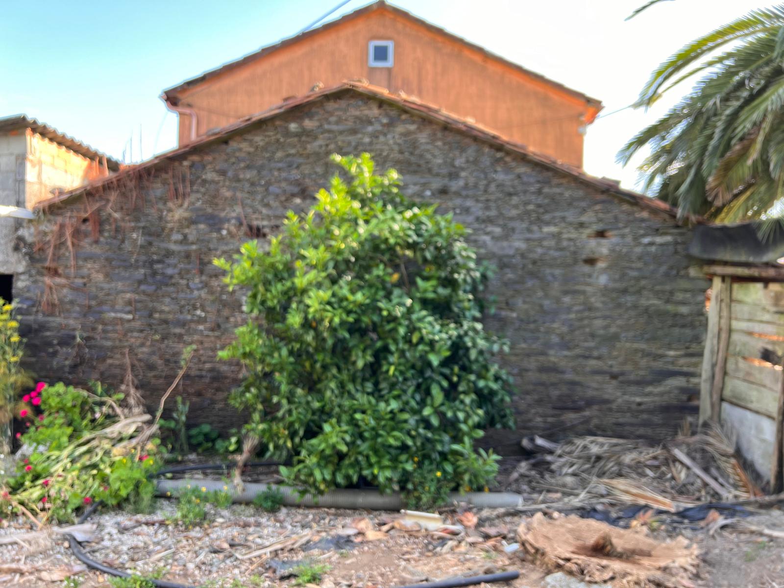 Rehabilitación Fachada de Piedra